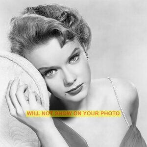 Photo Collectible Print 8x10 Hollywood Actress, Gorgeous Ann Francis, No Tats!